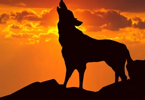 Monsters and Myths - Cryptids of the World