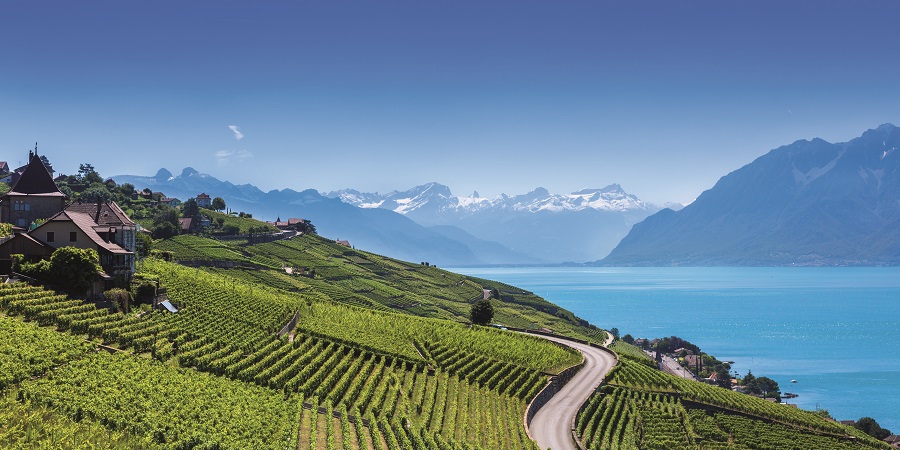Savouring the Lavaux region