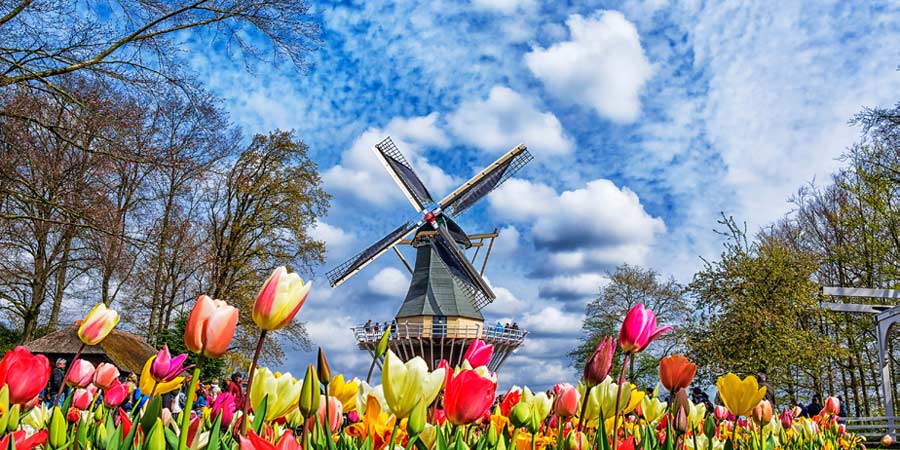 Wandering through the beautiful Keukenhof Gardens